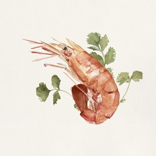 Shrimp for Dinner II