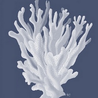 Coral 17 White on Indigo Blue