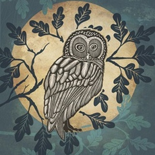 Country Lane Owl in Moon