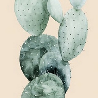 Cactus on Coral I
