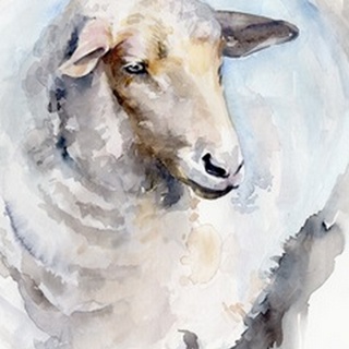 Watercolor Sheep I
