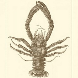 Sepia Lobster II
