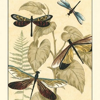 Small Graphic Dragonflies II