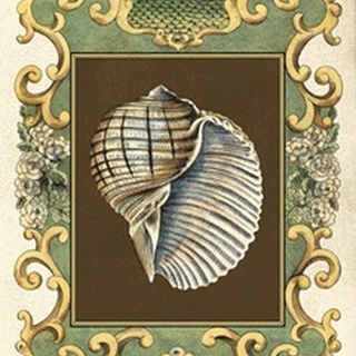 Small Mermaid's Shells I