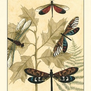 Small Graphic Dragonflies I