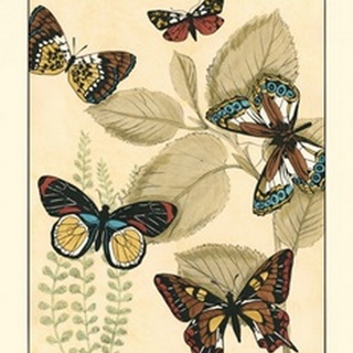 Small Graphic Butterflies I