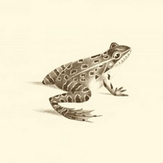 Sepia Frog II