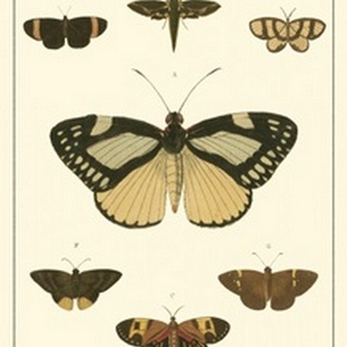 Small Heirloom Butterflies II