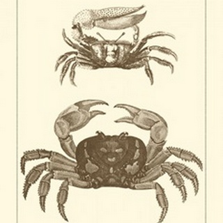 Sepia Crabs I