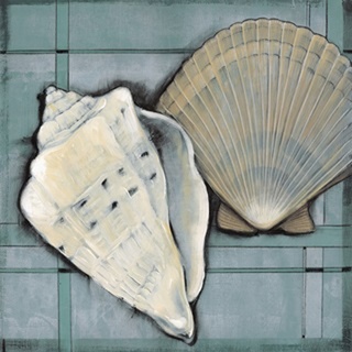 Seashell Sketch II
