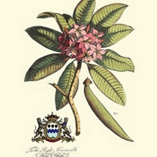 Royal Botanical V