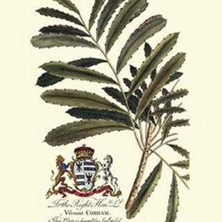 Royal Botanical III