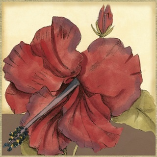 Cropped Sophisticated Hibiscus III