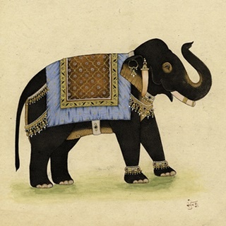 Elephant from India I