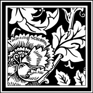 Printed Graphic Floral Motif III