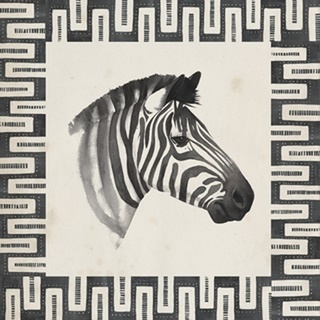 Safari Zebra I
