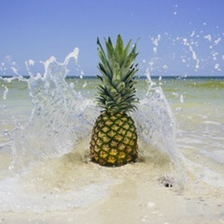 South Florida Pineapple III