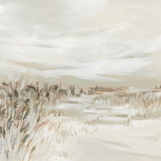 Dune Grasses I