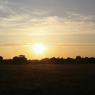 Sunset Field I