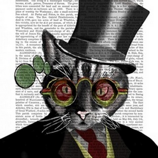 Steampunk Cat - Top Hat and red yellow glasses