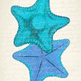 Starfish in Shades of Blue b