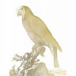 Gold Foil Parrot II