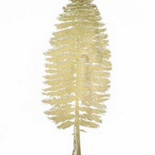 Gold Foil Pacific Northwest Tree II