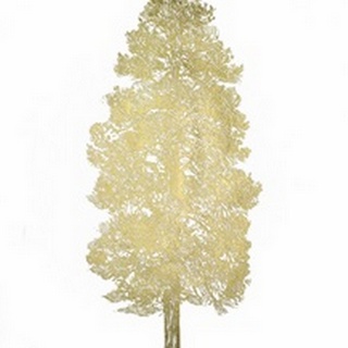Gold Foil Pacific Northwest Tree III