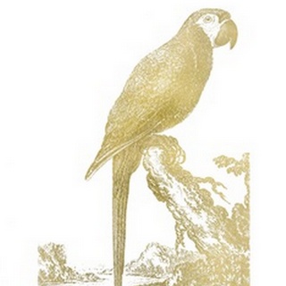 Gold Foil Parrot I
