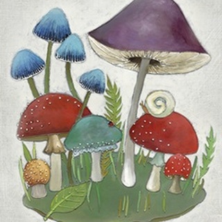 Mushroom Collection II