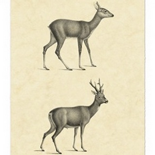 Vintage Deer I