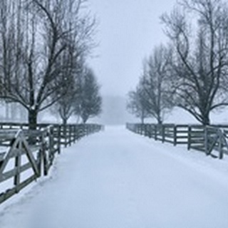 Snowy Road II
