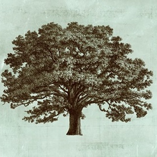 Spa Tree I