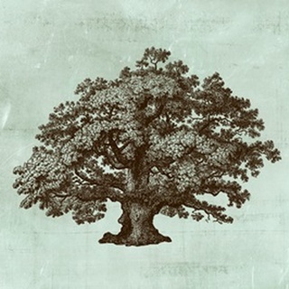Spa Tree III