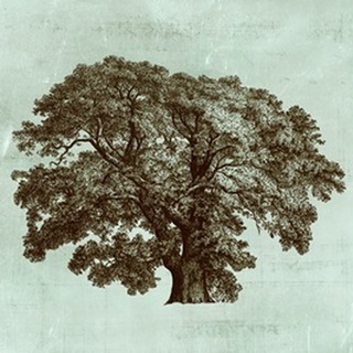 Spa Tree II
