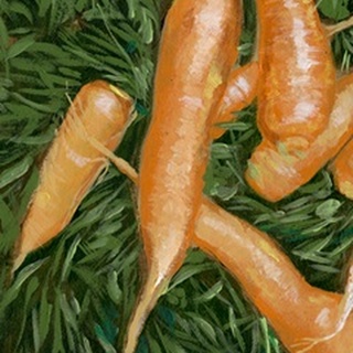 Carrots I
