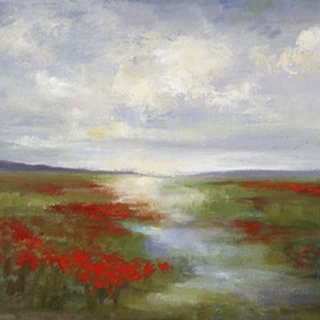 Red Poppy Field