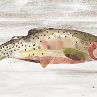Spotted Trout II