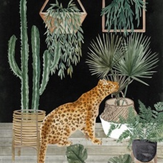 Jungle Home Collection B