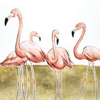 Flamingo Flock II