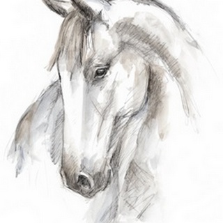Watercolor Equine Study II