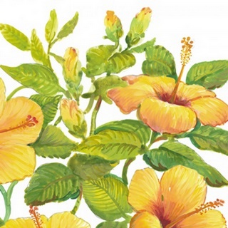 Watercolor Hibiscus II
