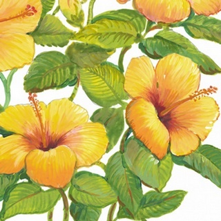 Watercolor Hibiscus IV