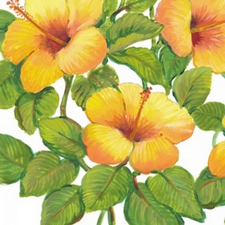 Watercolor Hibiscus III