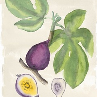 Watercolor Fruit I