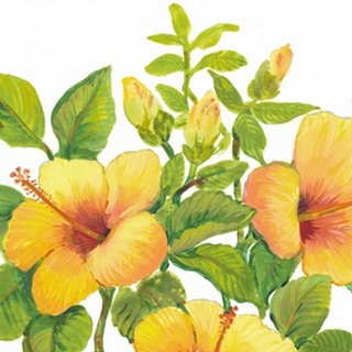 Watercolor Hibiscus I