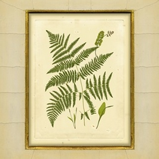 Fern with Crackle Mat IV