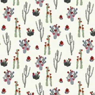 Flowering Christmas Cactus Collection E