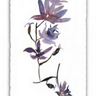 Floral Watercolor IV