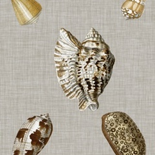 Shells on Linen I